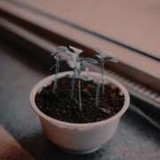 まつり 🌵 熟女の風俗最終章 本厚木店