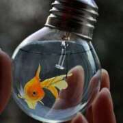 ヒメ日記 2026/01/15 13:11 投稿 まつり 熟女の風俗最終章 本厚木店