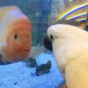 ヒメ日記 2026/01/15 17:41 投稿 まつり 熟女の風俗最終章 本厚木店