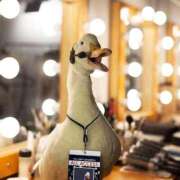 ヒメ日記 2026/01/17 15:02 投稿 まつり 熟女の風俗最終章 本厚木店