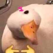 ヒメ日記 2026/01/17 19:32 投稿 まつり 熟女の風俗最終章 本厚木店