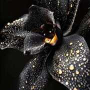 ヒメ日記 2026/01/18 00:52 投稿 まつり 熟女の風俗最終章 本厚木店