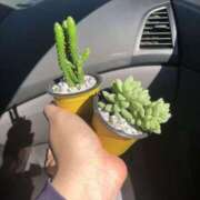 ヒメ日記 2026/01/19 11:41 投稿 まつり 熟女の風俗最終章 本厚木店