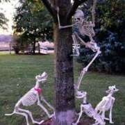 ヒメ日記 2026/01/20 09:59 投稿 まつり 熟女の風俗最終章 本厚木店