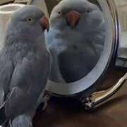 ヒメ日記 2026/01/21 20:11 投稿 まつり 熟女の風俗最終章 本厚木店