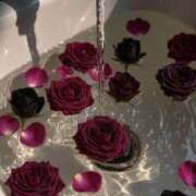 ヒメ日記 2026/01/21 20:31 投稿 まつり 熟女の風俗最終章 本厚木店