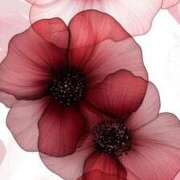 ヒメ日記 2026/01/21 21:46 投稿 まつり 熟女の風俗最終章 本厚木店