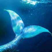 ヒメ日記 2026/01/21 23:18 投稿 まつり 熟女の風俗最終章 本厚木店