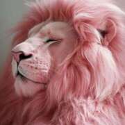 ヒメ日記 2026/01/22 00:41 投稿 まつり 熟女の風俗最終章 本厚木店