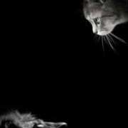 ヒメ日記 2026/01/23 06:21 投稿 まつり 熟女の風俗最終章 本厚木店