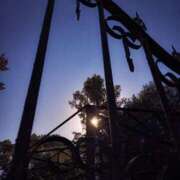 ヒメ日記 2026/01/23 21:38 投稿 まつり 熟女の風俗最終章 本厚木店