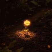 ヒメ日記 2026/01/24 19:42 投稿 まつり 熟女の風俗最終章 本厚木店