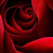 ヒメ日記 2026/01/25 00:21 投稿 まつり 熟女の風俗最終章 本厚木店