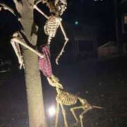 ヒメ日記 2026/01/26 01:01 投稿 まつり 熟女の風俗最終章 本厚木店