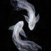 ヒメ日記 2026/01/26 02:01 投稿 まつり 熟女の風俗最終章 本厚木店