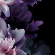 ヒメ日記 2026/01/26 02:06 投稿 まつり 熟女の風俗最終章 本厚木店