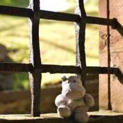 ヒメ日記 2026/01/26 12:05 投稿 まつり 熟女の風俗最終章 本厚木店