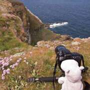 ヒメ日記 2026/01/26 13:51 投稿 まつり 熟女の風俗最終章 本厚木店