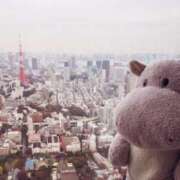 ヒメ日記 2026/01/26 15:31 投稿 まつり 熟女の風俗最終章 本厚木店