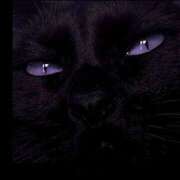 ヒメ日記 2026/01/27 00:11 投稿 まつり 熟女の風俗最終章 本厚木店