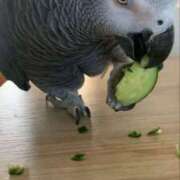 ヒメ日記 2026/01/28 13:08 投稿 まつり 熟女の風俗最終章 本厚木店