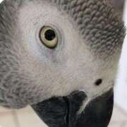 ヒメ日記 2026/01/28 13:41 投稿 まつり 熟女の風俗最終章 本厚木店