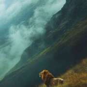 ヒメ日記 2026/01/30 11:57 投稿 まつり 熟女の風俗最終章 本厚木店