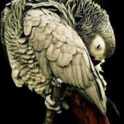 ヒメ日記 2026/02/04 00:21 投稿 まつり 熟女の風俗最終章 本厚木店