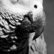 ヒメ日記 2026/02/05 22:46 投稿 まつり 熟女の風俗最終章 本厚木店