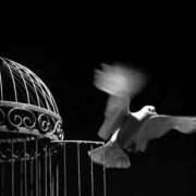 ヒメ日記 2026/02/05 23:41 投稿 まつり 熟女の風俗最終章 本厚木店