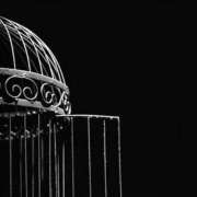 ヒメ日記 2026/02/06 00:37 投稿 まつり 熟女の風俗最終章 本厚木店