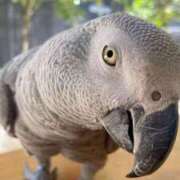 ヒメ日記 2026/02/07 10:35 投稿 まつり 熟女の風俗最終章 本厚木店