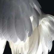 ヒメ日記 2026/02/08 01:11 投稿 まつり 熟女の風俗最終章 本厚木店