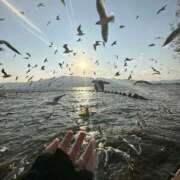 ヒメ日記 2026/02/09 18:00 投稿 まつり 熟女の風俗最終章 本厚木店