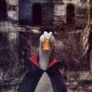 ヒメ日記 2026/02/10 00:24 投稿 まつり 熟女の風俗最終章 本厚木店