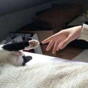 ヒメ日記 2026/02/10 12:31 投稿 まつり 熟女の風俗最終章 本厚木店