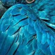 ヒメ日記 2026/02/12 10:55 投稿 まつり 熟女の風俗最終章 本厚木店