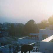 ヒメ日記 2026/02/13 12:12 投稿 まつり 熟女の風俗最終章 本厚木店