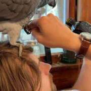 ヒメ日記 2026/02/23 10:51 投稿 まつり 熟女の風俗最終章 本厚木店