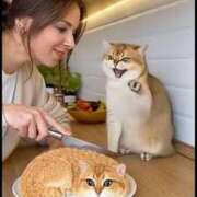 ヒメ日記 2026/02/23 11:02 投稿 まつり 熟女の風俗最終章 本厚木店