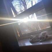 ヒメ日記 2026/02/24 14:27 投稿 まつり 熟女の風俗最終章 本厚木店