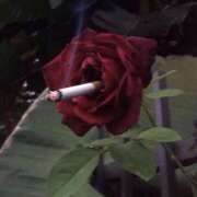 ヒメ日記 2026/02/26 00:31 投稿 まつり 熟女の風俗最終章 本厚木店