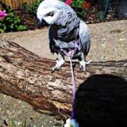 ヒメ日記 2026/02/28 12:52 投稿 まつり 熟女の風俗最終章 本厚木店