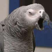 ヒメ日記 2026/03/08 22:01 投稿 まつり 熟女の風俗最終章 本厚木店