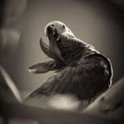 ヒメ日記 2026/03/08 22:51 投稿 まつり 熟女の風俗最終章 本厚木店