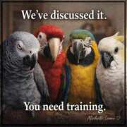 ヒメ日記 2026/03/09 13:11 投稿 まつり 熟女の風俗最終章 本厚木店