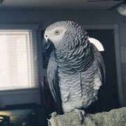 ヒメ日記 2026/03/09 14:21 投稿 まつり 熟女の風俗最終章 本厚木店