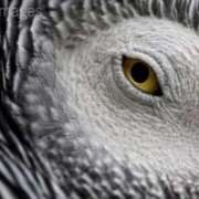 ヒメ日記 2026/03/11 16:11 投稿 まつり 熟女の風俗最終章 本厚木店