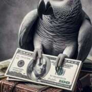 ヒメ日記 2026/03/11 21:13 投稿 まつり 熟女の風俗最終章 本厚木店