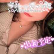 ヒメ日記 2025/03/31 14:56 投稿 まひろ One More 奥様　錦糸町店